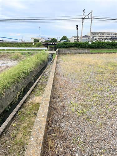 北側境界付近(2025年6月撮影)1