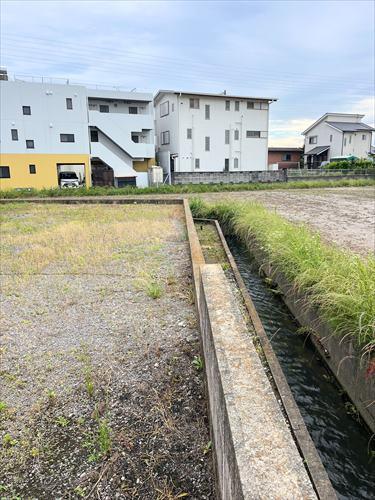 北側境界付近(2025年6月撮影)2