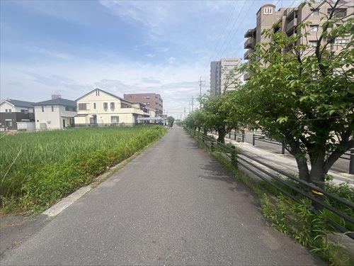 前面道路1 前面道路1