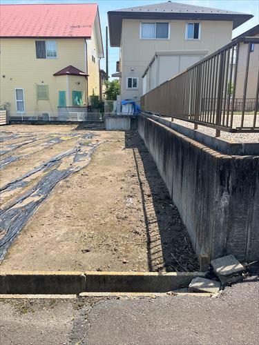 西側境界付近(2025年6月撮影)-1