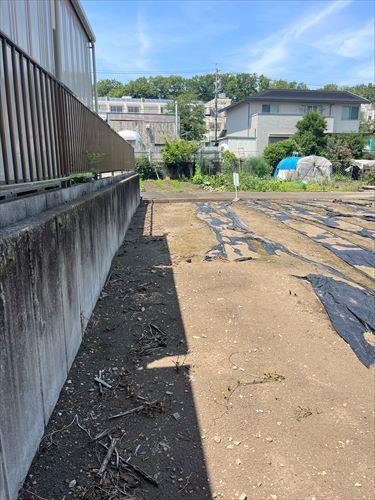 西側境界付近(2025年6月撮影)-2