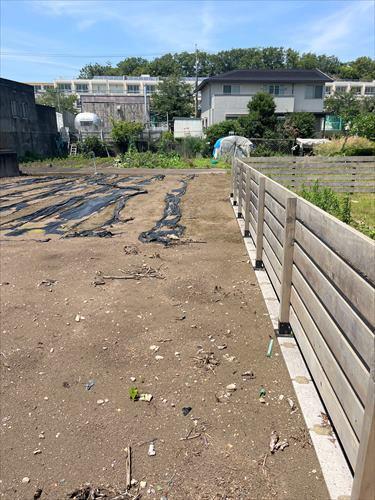 東側境界付近(2025年6月撮影)-1