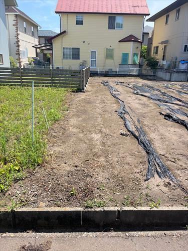 東側境界付近(2025年6月撮影)-2