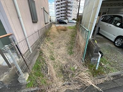 現地写真 現地写真