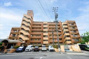 現地写真（2025年6月撮影）