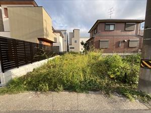 現地写真(2025年10月撮影) 現地写真(2025年10月撮影)