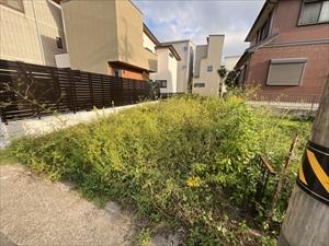 現地写真 現地写真