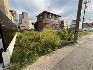 現地写真 現地写真