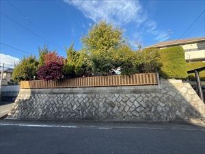 現地写真（2026年1月撮影）