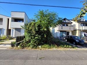 現地写真（2025年10月撮影）