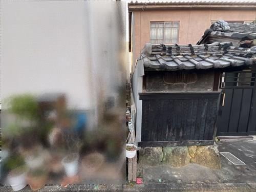 現地（北東側境界付近）