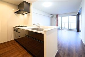 カウンターキッチン