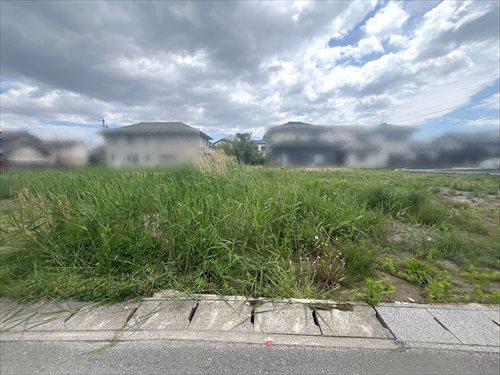 現地
