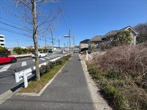 現地写真(2026年3月撮影) 現地写真(2026年3月撮影)