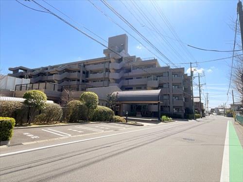 西側前面道路 (2026年3月撮影)