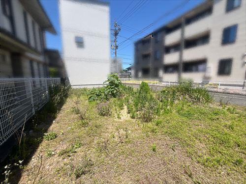 現地