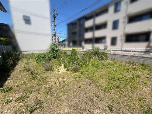 現地