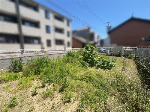 現地