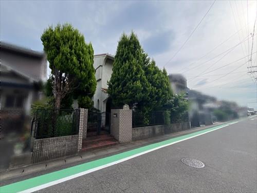 現地