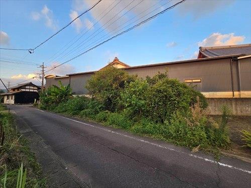 現地写真