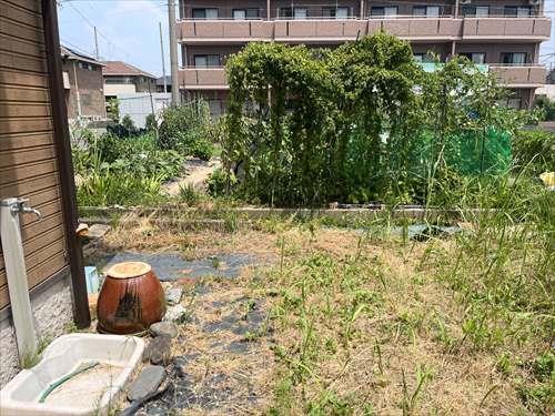北西側境界付近(2025年7月撮影)