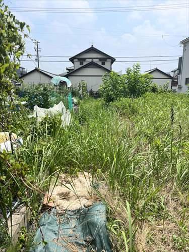 北側境界付近(2025年7月撮影)