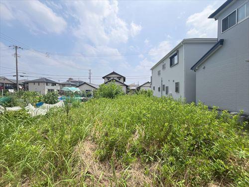 現地(西側から/2025年7月撮影)