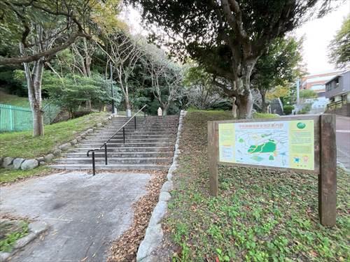 平和南緑地保全地区まで50ｍ