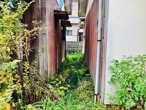 現地　2025年11月撮影