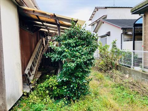 現地　2025年11月撮影