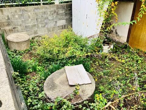 現地　2025年11月撮影