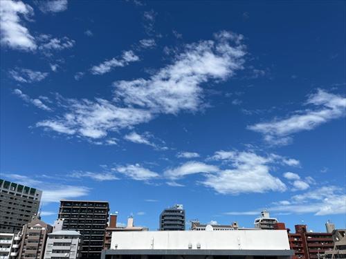 バルコニーからの眺望