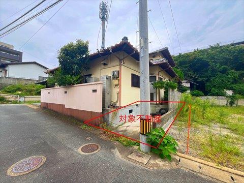 現地　2026年1月撮影