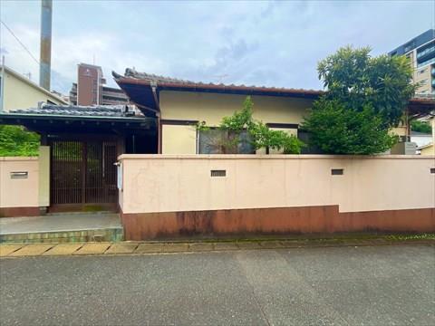 現地　2026年1月撮影