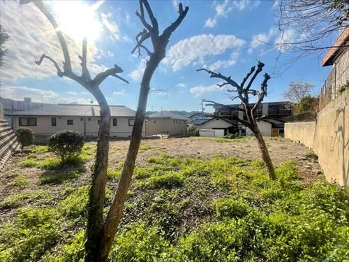 現地写真（2023年2月撮影）