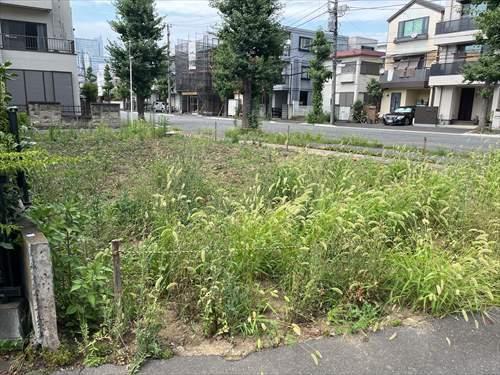 現地（1～3区画全体）