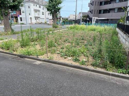 現地（1～3区画全体）