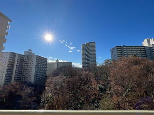 バルコニーからの眺望