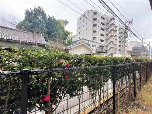 バルコニーからの眺望