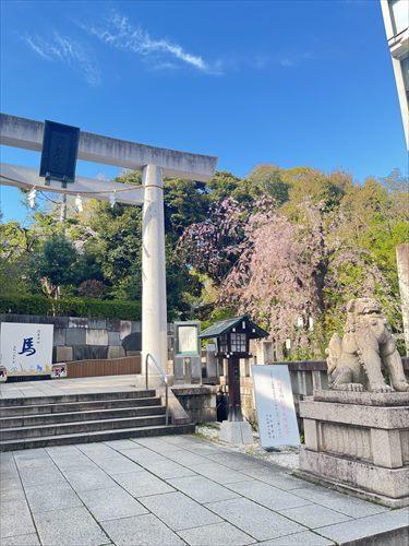 乃木神社まで260m