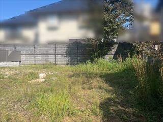 現地写真（2025年10月撮影）