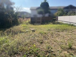 現地写真（2025年10月撮影）