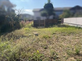 現地写真（2025年10月撮影）