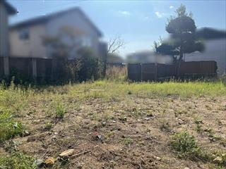 現地写真（2025年10月撮影）