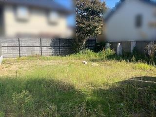 現地写真（2025年10月撮影）