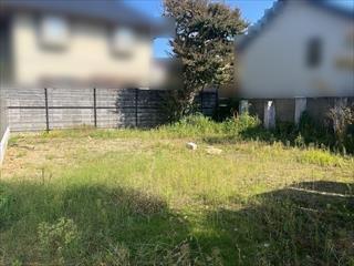 現地写真（2025年10月撮影）