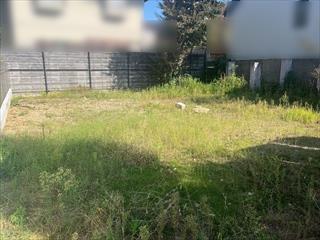 現地写真（2025年10月撮影）