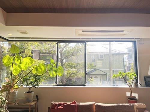 室内からの眺望