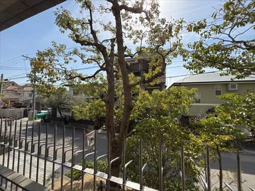 南東側バルコニーからの眺め