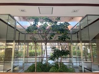 共用部：エントランス